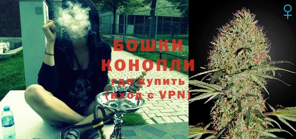 бошки Новозыбков
