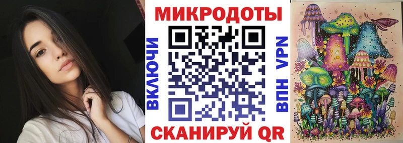 закладки  Отрадный  Псилоцибиновые грибы Psilocybe 