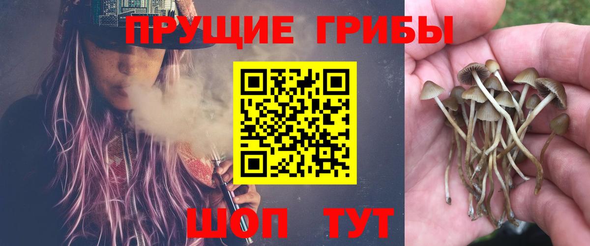 Галлюциногенные грибы мицелий  Вход с VPN  Отрадный 
